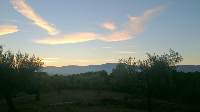 sketch-1449342555899