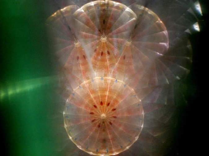 FB_IMG_1468682587032