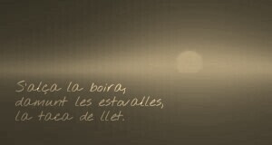 PicsArt_12-19-09.36.59